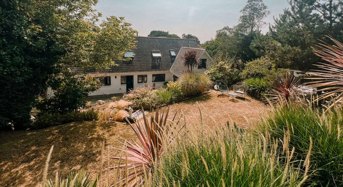 The house seen from deep in the garden, roofline above the trees