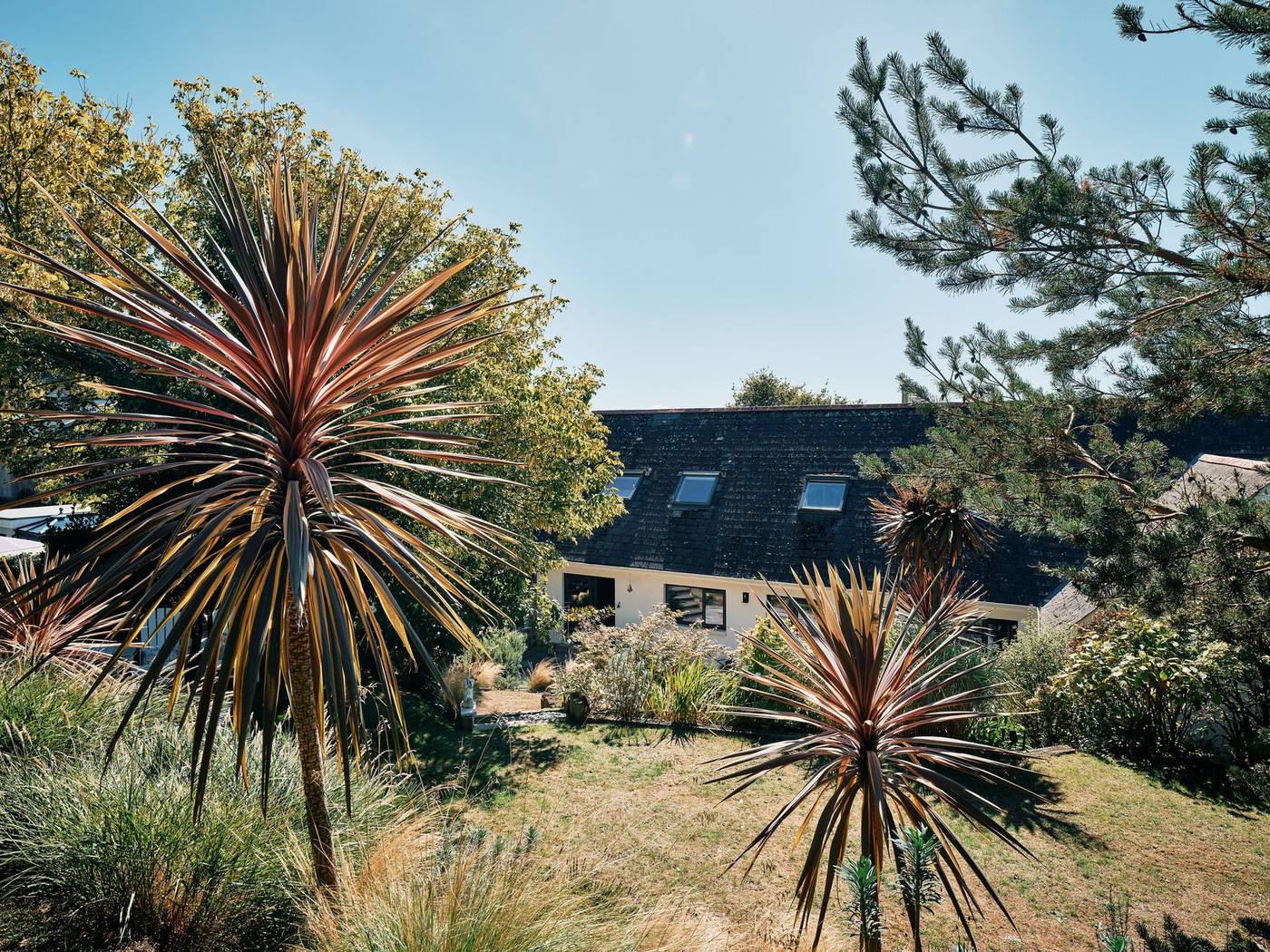 Cordylines and grasses on the terraces, with the house roof beyond