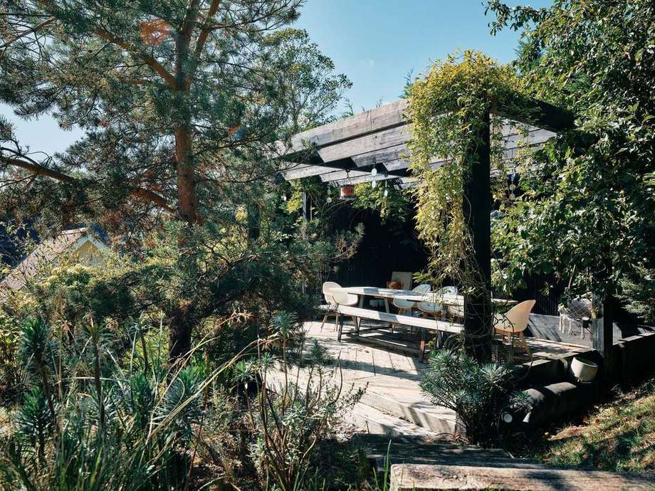 The path through the planting to the pergola