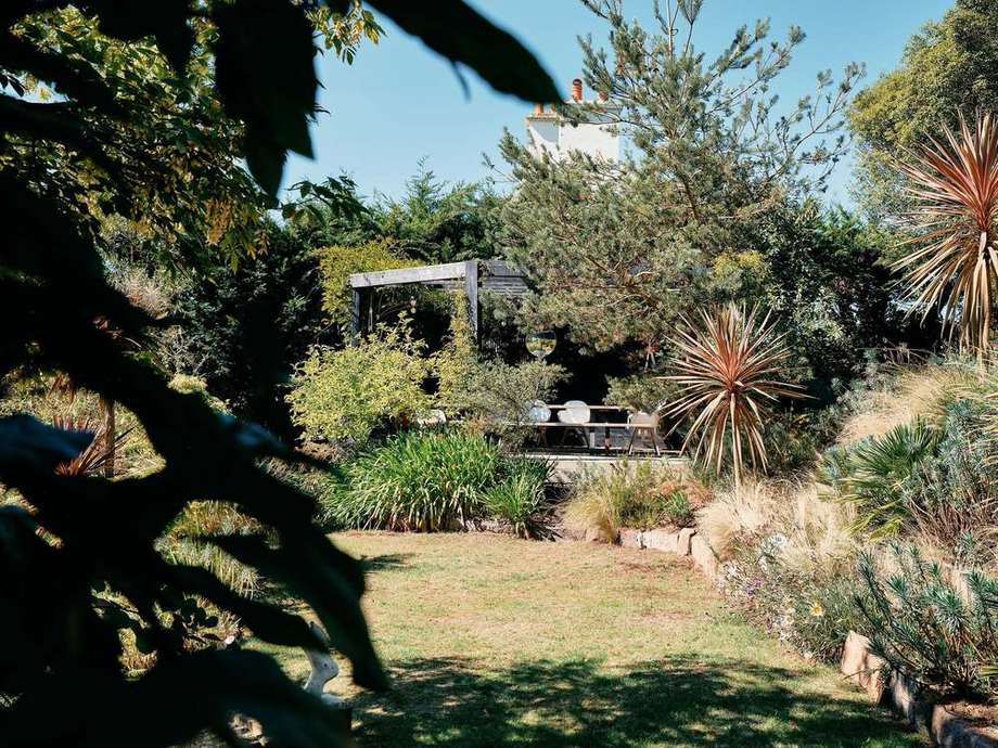 The pergola among the garden planting